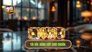 cách chơi tài xỉu cho người mới
